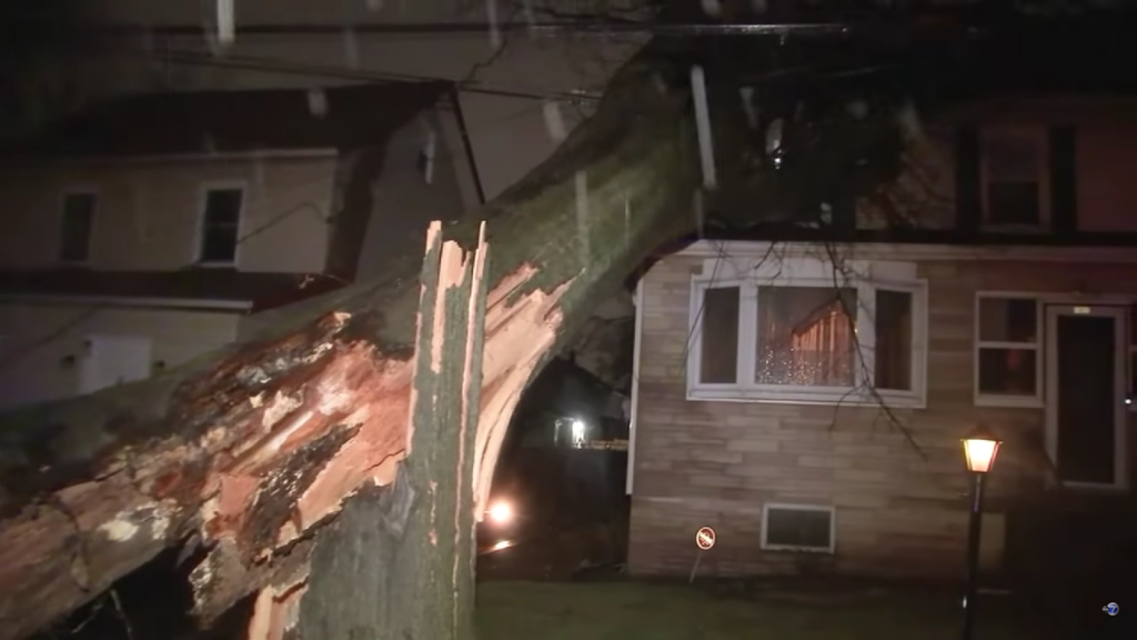 A massive tree collapses onto a hillside home during heavy rain and powerful winds.